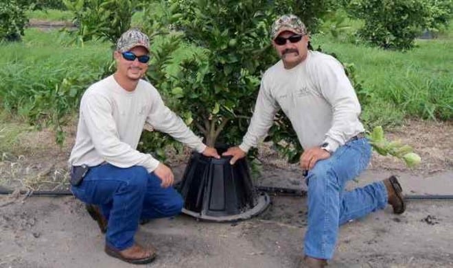 Tree T Pee Shark Tank Update